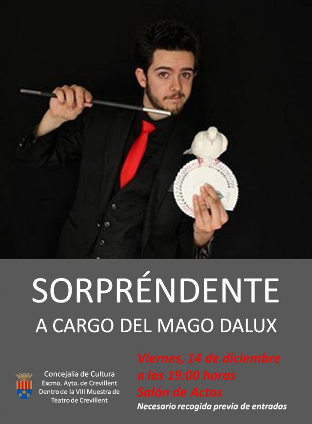ESPECTÁCULO DE MAGIA A CARGO DEL MAGO DÁLUX.