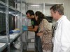 Investigan restos de la necrópolis de Padre Palau para conocer la alimentación de nuestros antepasados