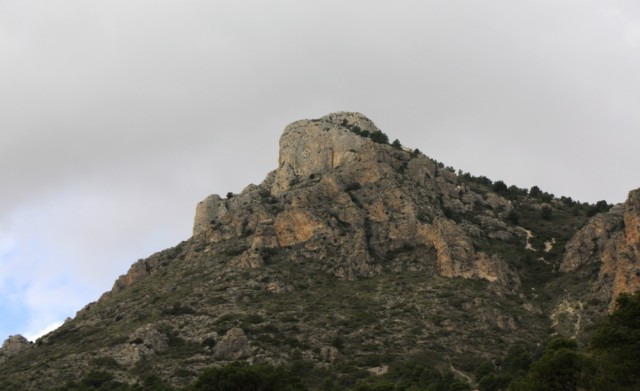 Medio Ambiente solicita a Conselleria que retire los restos de desbroces y podas de la sierra de Crevillent