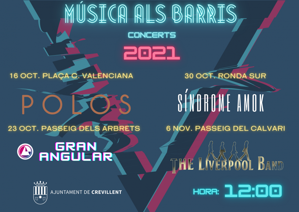 CONCERT A CÀRREC DE “GRAN ANGULAR”