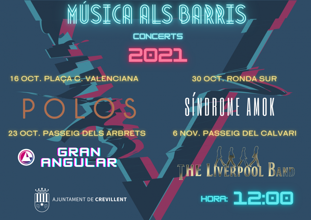 CONCERT A CÀRREC DE  “GRAN ANGULAR”