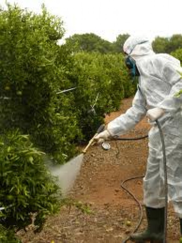 Agricultura organiza un curso de manipulador de plaguicidas de uso fitosanitario