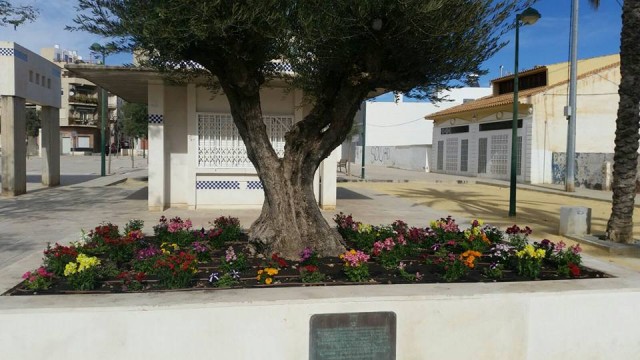 Parques y Jardines realiza unas obras en la zona norte del Paseo del Calvario