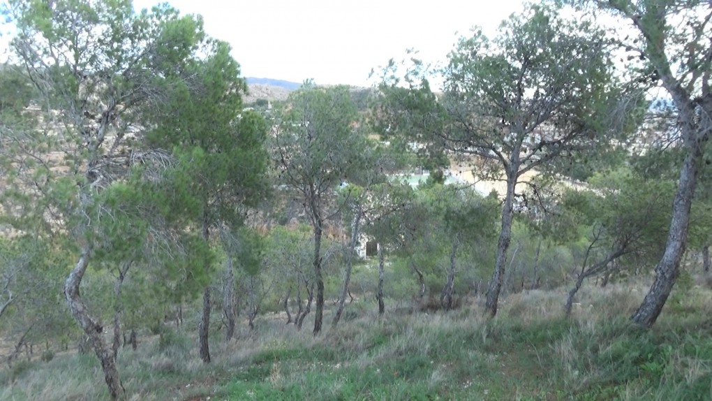 Medio Ambiente informa a las autoridades sobre la existencia de un pozo en la zona de la Rambla del Castelar junto al camino de la cantera