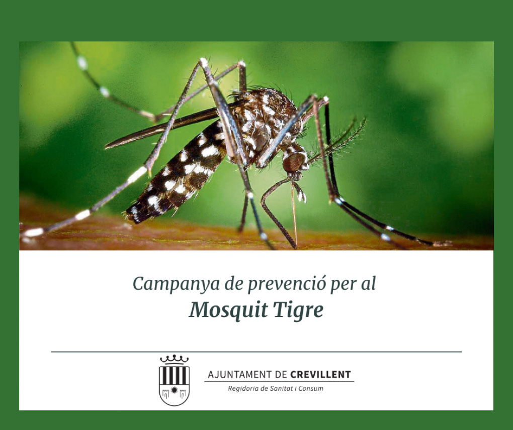 Campanya Mosquit Tigre