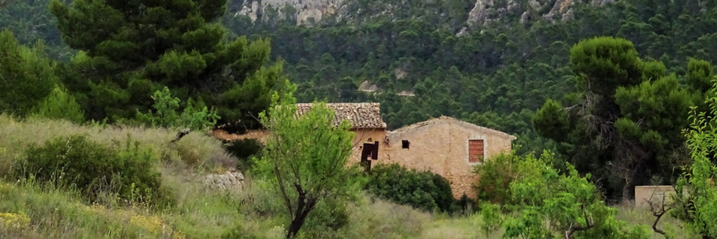 L'Ajuntament de Crevillent aconsegueix una subvenció de Diputació per a la millora de masses i terrenys forestals