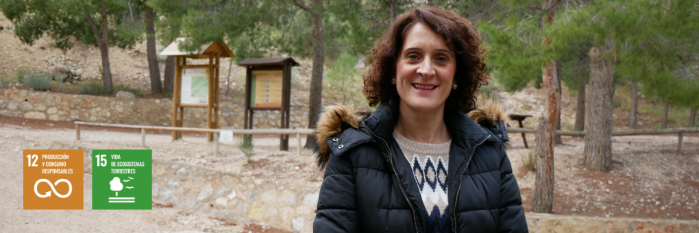 Noves marquesines informatives al parc de muntanya de Sant Gaietà i a l'àrea recreativa de la Palaia