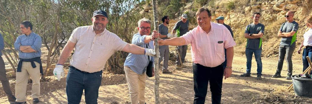 Comença la reforestació del Arboreto del CEMA Els Molins de Crevillent