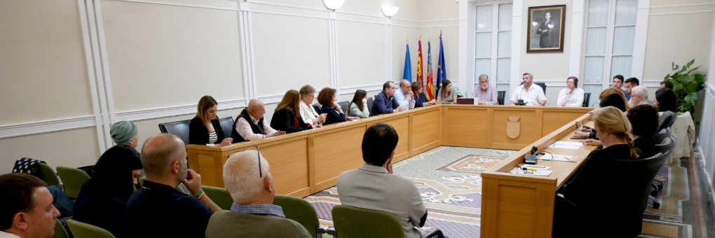 Aprovats en el Ple Ordinari els pressupostos per a la construcció de la zona skatepark i la creació del “I Premi d'Investigació Històrica Vila de Crevillent”