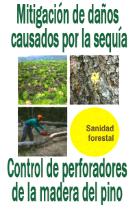 Cartel mitigación de daños causados por la sequía. Control de perforadores de la madera.